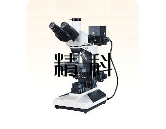 JDZ-3600炭黑分散度檢測儀
